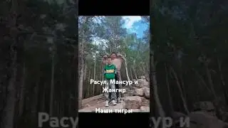 15 августа 2024 г.