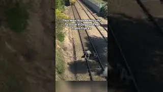 RANDOM ACTS OF KINDNESS CAUGHT ON CAMERA! 