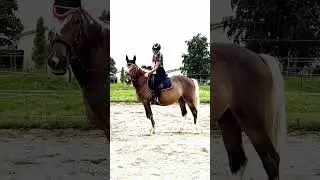 My Love ❤️wie heisst euer Pferd?#jezabellehorselove