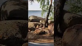 17 июля 2024 г.