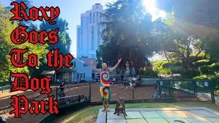 Roxy goes to the park