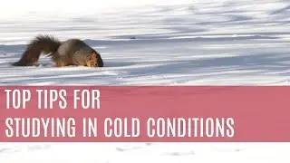 3 Tips for Studying in Cold Conditions: Improve Productivity and Focus When Freezing