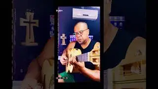 PAGODES DE UM MESTRE NA VIOLA! #viola #musica #violaraiz #violeira #pagodedeviola #walbarcellos
