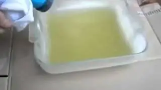 Haschölherstellung mit dem Honeybee 2 v 4