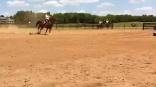 IMG 1688
