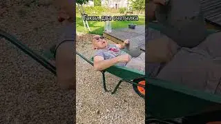 разленился совсем, ходить разучился 