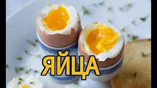 яйца