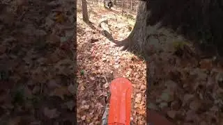 Calabogie Dirt Bike Single Track Trail
