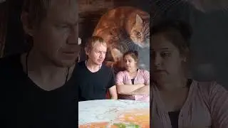 Когда муж долго не работал приколы 2023 #юмор #приколы #tiktok