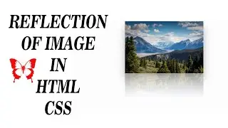 Reflection on Image in Html & Css.