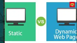 What is the Difference Between Static and Dynamic Websites