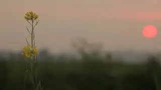 Sunset Timelapse Free Stock Footage and Sound - Free
