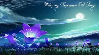 台語老歌 純音樂舒壓放鬆心情 Relaxing Taiwanese Old Songs