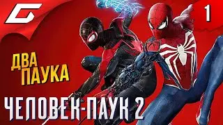 ИГРА ГОДА: Новый Паучок ➤ Spider Man 2 / Человек Паук 2 ◉ Прохождение 1