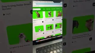 Increase Engagement w/ Green Screen Memes 📈 