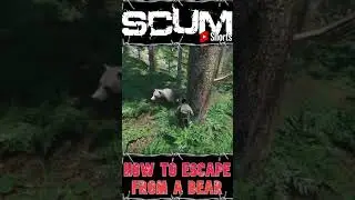Scum | How to escape from a bear