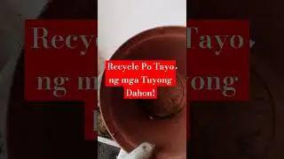Magtanim ay di Biro kaya tayo ng mag Recycle ng Mga dahon#diyhacktip #gardeningtips #trending#shorts