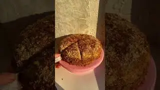 Самый нежный медовик