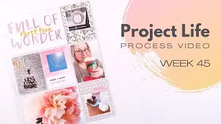 Project Life Process Video // Week 45, 2023
