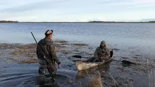 ОХОТА НА ТУРПАНА НА КОЛЫМЕ 2023. 1. DUCK HUNTING 2023 IN SIBERIA. KOLYMA/ PART 1