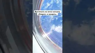 Вид из капсулы Dragon🤯🛰️ #шортс #shorts #земля #космос #небо #вселенная #интересно