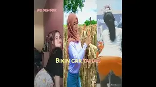 Viral II kummpulan goyang TikTok Hot cewek canti bikin betah II terbaru 2021/BANG JEKOQ