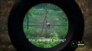 theHunter: Call of the Wild Rotwild und Rehboch Jagd
