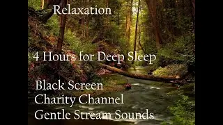 Water Stream Sounds for Deep Sleep & Relaxation (Black Screen) (4 Hours)