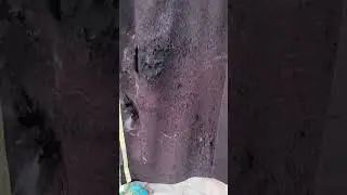 Угадай профессию по одежде