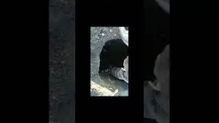 Берем живьем демана!!!! 