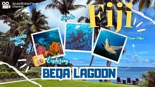 Beqa Lagoon Resort, Fiji | Sharks, Coral Reefs, Wreck Diving & Fijian Culture