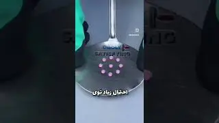 Fact 6