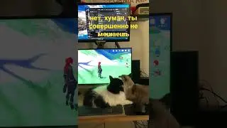 using pc be like