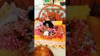 Laddu Gopal Ji sewa 🙏🏽