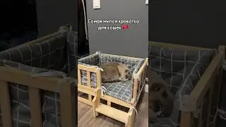 ЗАКАЗАЛА КРОВАТЬ ДЛЯ КОШКИ В КИТАЕ 😱📦 