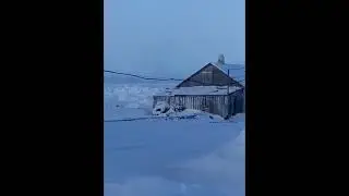 Белый медведь на крыше...