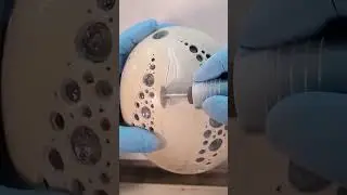 Can't Carve an Egg They Said...