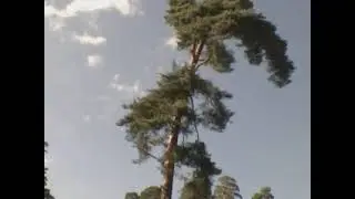 Комментарий о применении гибридной технологии в  поиске по войне.