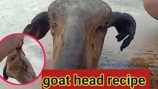 Lamb HEAD GOSHT recipe | Sheep HEAD Korma Recipes