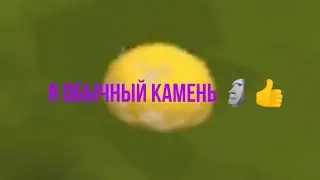 КАК ЖИВОЙ КАМЕНЬ СДЕЛАТЬ ОБЫЧНЫМ??? |Animal Jam и приколы