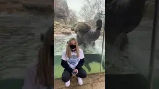 bear & gerl Маша и медведь