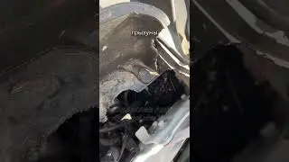 Ржавая Alfa Romeo за 4 000 000 ₽