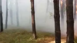 Горел лес в районе АЗС