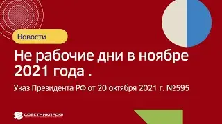Нерабочие дни в ноябре 2021 года . Правовой статус «каникул».