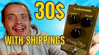 THE BEST FUZZ UNDER 50$|TC ELECTRONIC HONEY POT