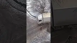 Колея.