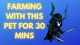 AQW Legion Dage Birthday Pet - How Many Legion Tokens in 30 Mins?