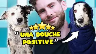 J´AI PAS DOUCHÉ MON CHIEN PENDANT 1 AN! je vous raconte pourquoi!