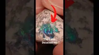A costly mistake for Justin as he cuts a stunning rough opal 