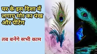 🎀💜घर में कहा लगाना चाहिए मोर का पंख और पेंटिंग Ghar ke kis disha me lgana chaya mor ka pankh /Rinku
